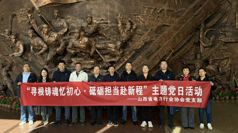 协会党支部开展主题党日活动